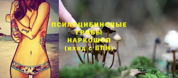 мдпв Касимов