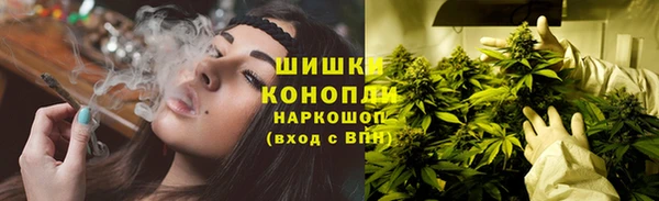 мдпв Касимов