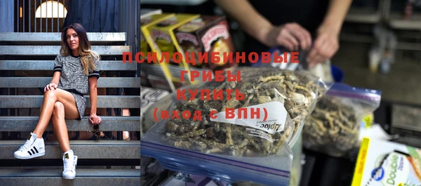 мдпв Касимов