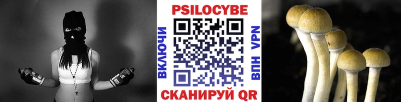 Купить  Нея  Галлюциногенные грибы прущие грибы 